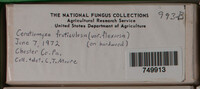 Image Associated With the Occurence